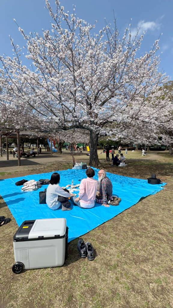 2026.3.28 Salon d'愛理IRI 花見