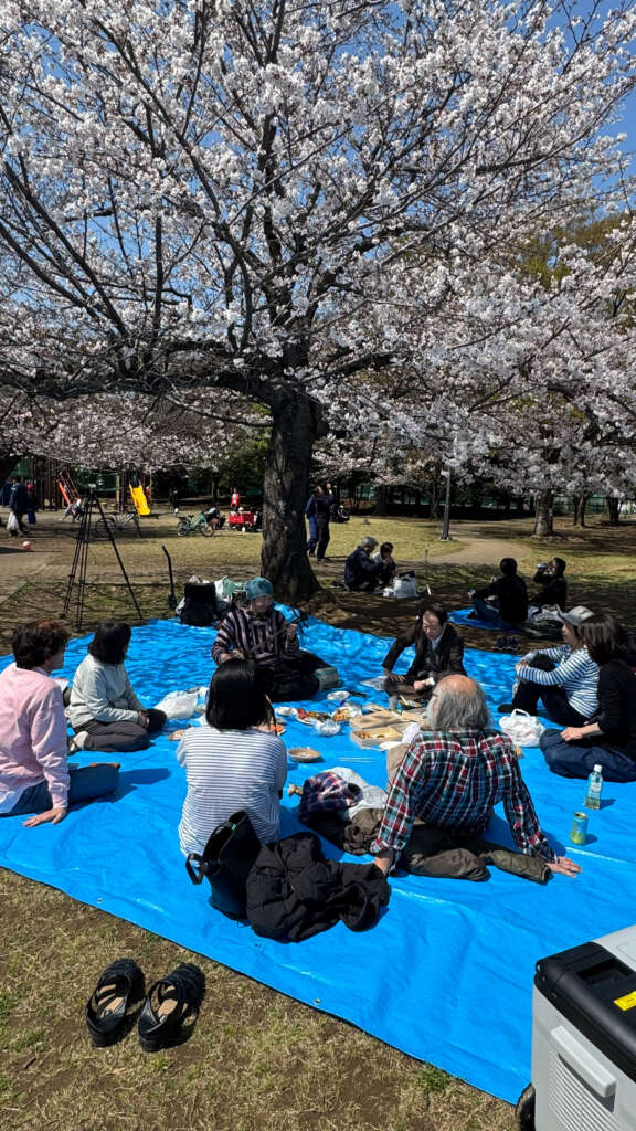 2026.3.28 Salon d'愛理IRI 花見