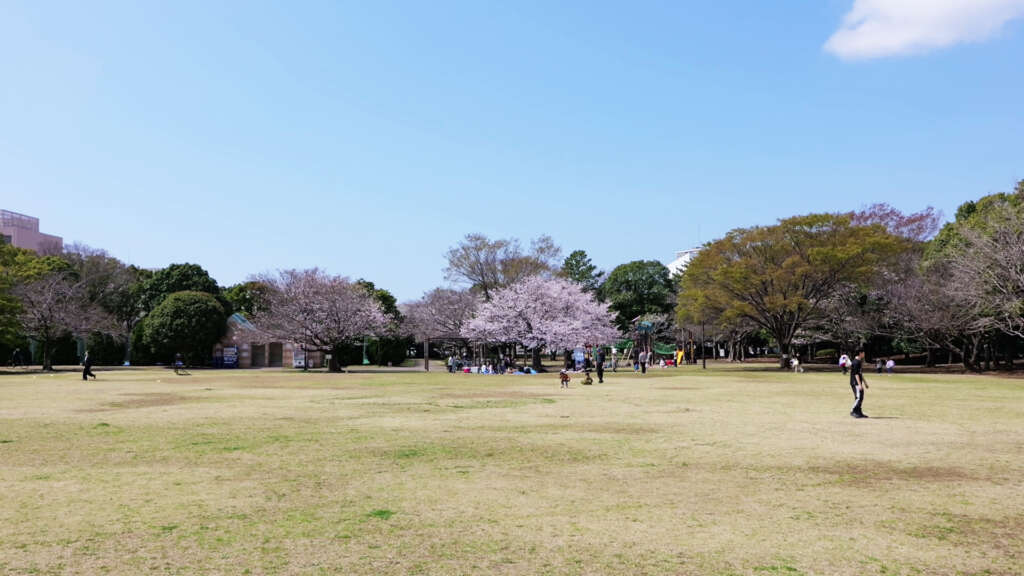 2026.3.28 Salon d'愛理IRI 花見